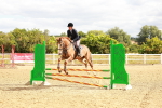 SBM_004876