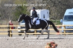 BPP_9687