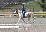 BPP_9449