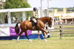 SBM_15070