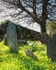Antony Churchyard