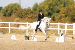 SBM_018531