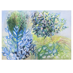 Sage and Apple Tree