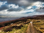 Ilkley Moor