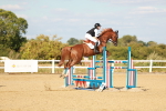 SBM_007913