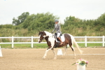 SBM_007135