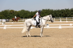 SBM_004421