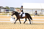 SBM_002738