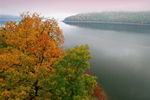 Kinzua At Fall