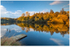 Reflections on the River Bann (IMG1159)