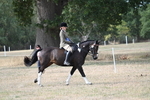 WJ7_7668