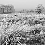 Christmas Day Morning. Haywood, Scotland