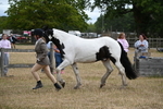WJ6_8385