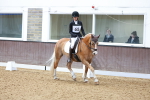 SBM_000525