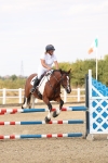 SBM_002195