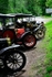 HorseCarr26-345