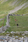 Ennerdale-659