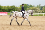 SBM_005892
