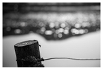 Post Production