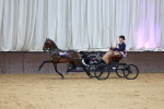 SBM_000676
