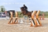 BPP_5884