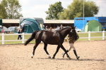SBM_04554