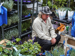 Flower Vendor 1 2019