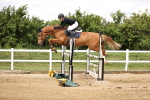 SBM_003257