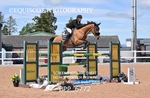 BPP_6772