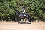 WJ6_6734