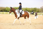 SBM_007330