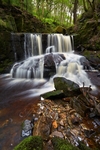 Jepson's Clough