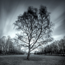 Recent Work portfolio