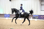SBM_009096