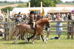SBM_05226