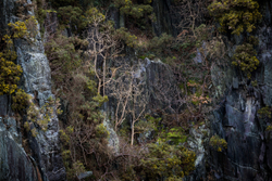 Cliffhangers