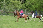 WJ6_3662