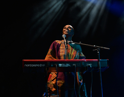 Womad 2015 portfolio
