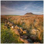 Saint Patricks Mountain, Slemish (IMG0728)