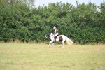 WJ6_1447
