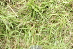 230820A-134159-00281