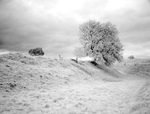 Avebury