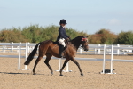 SBM_12193