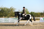 SBM_01151