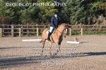 BPP_7989