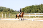 SBM_012428