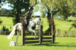 SBM_36436