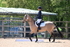 WJ6_9219