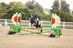 SBM_001986