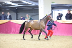 SBM_18931